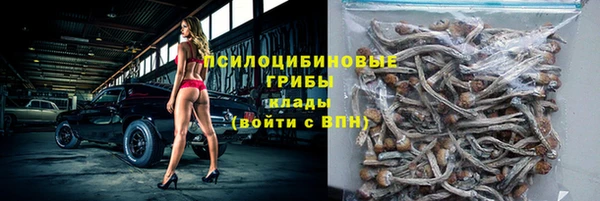 крисы Алзамай