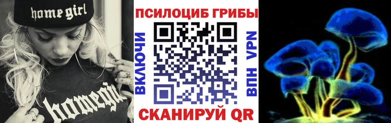 Купить закладки  Александровское  Псилоцибиновые грибы Psilocybe 